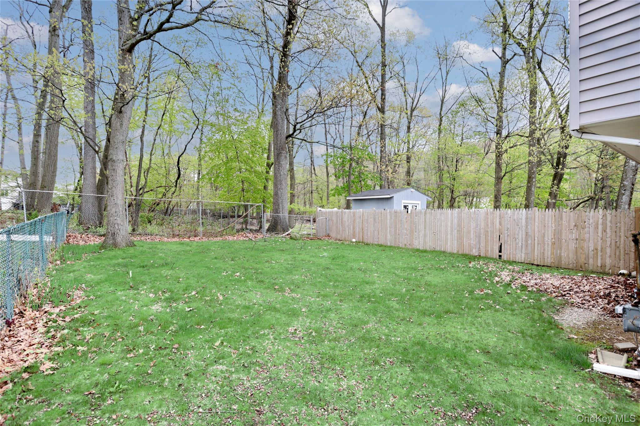 31 Lillian Street – For Sale photo 4