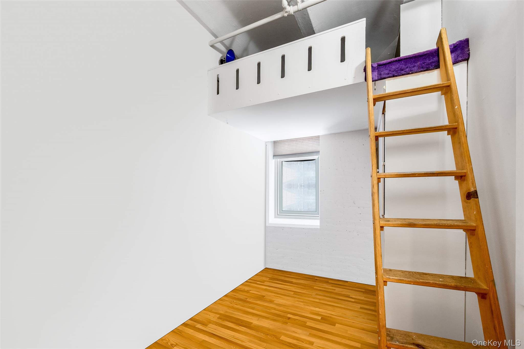 439 Lafayette Street, Unit 3 photo 19