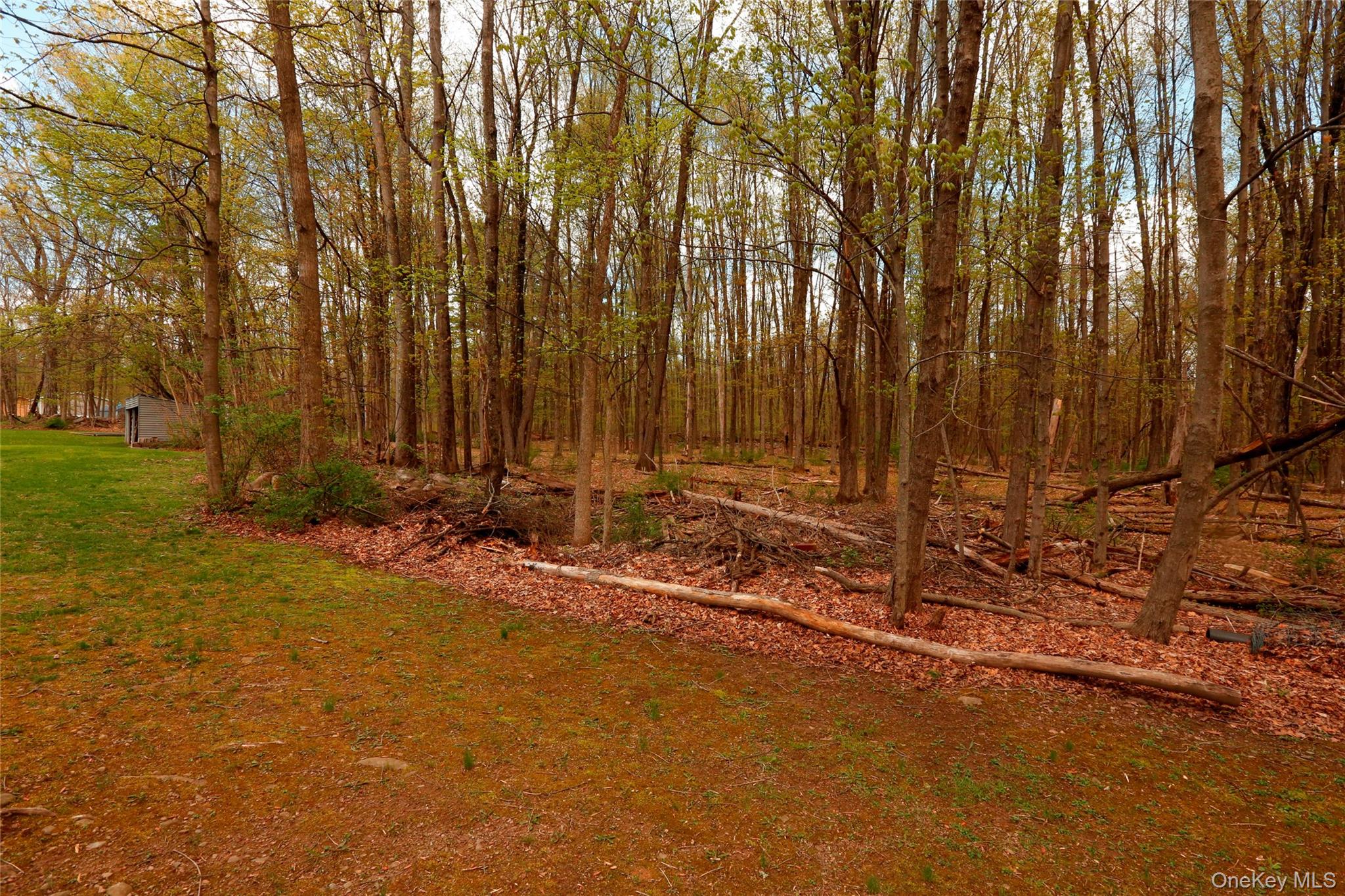 650 Granite Road – For Sale photo 34