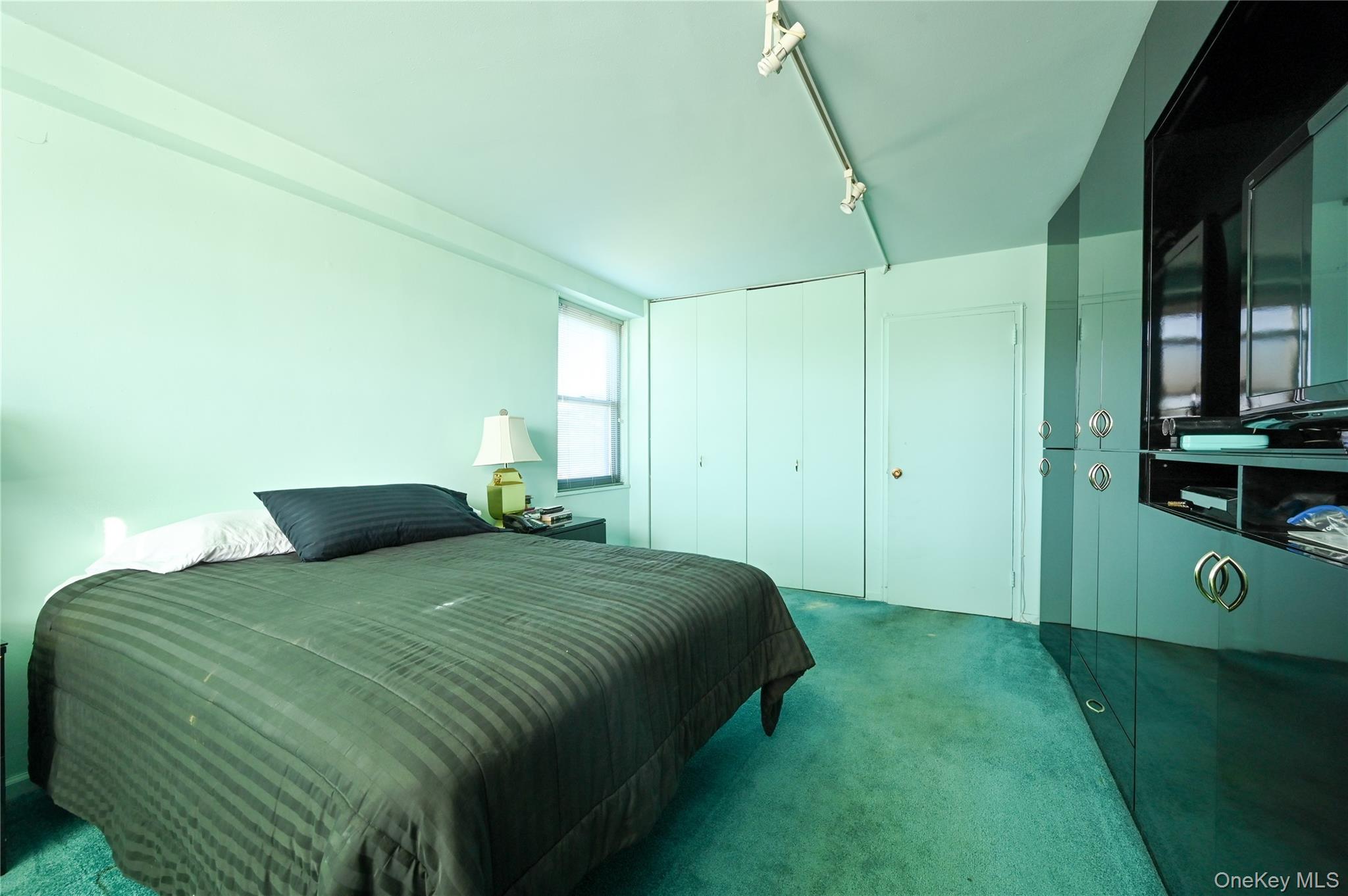 61-20 Grand Central Parkway, Unit C 306 photo 14
