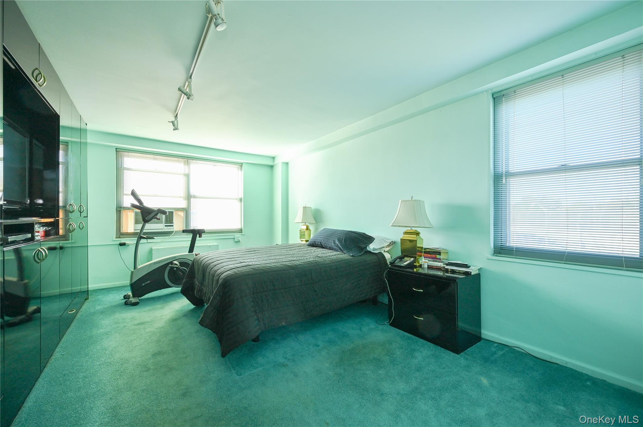 61-20 Grand Central Parkway, Unit C 306 photo 15