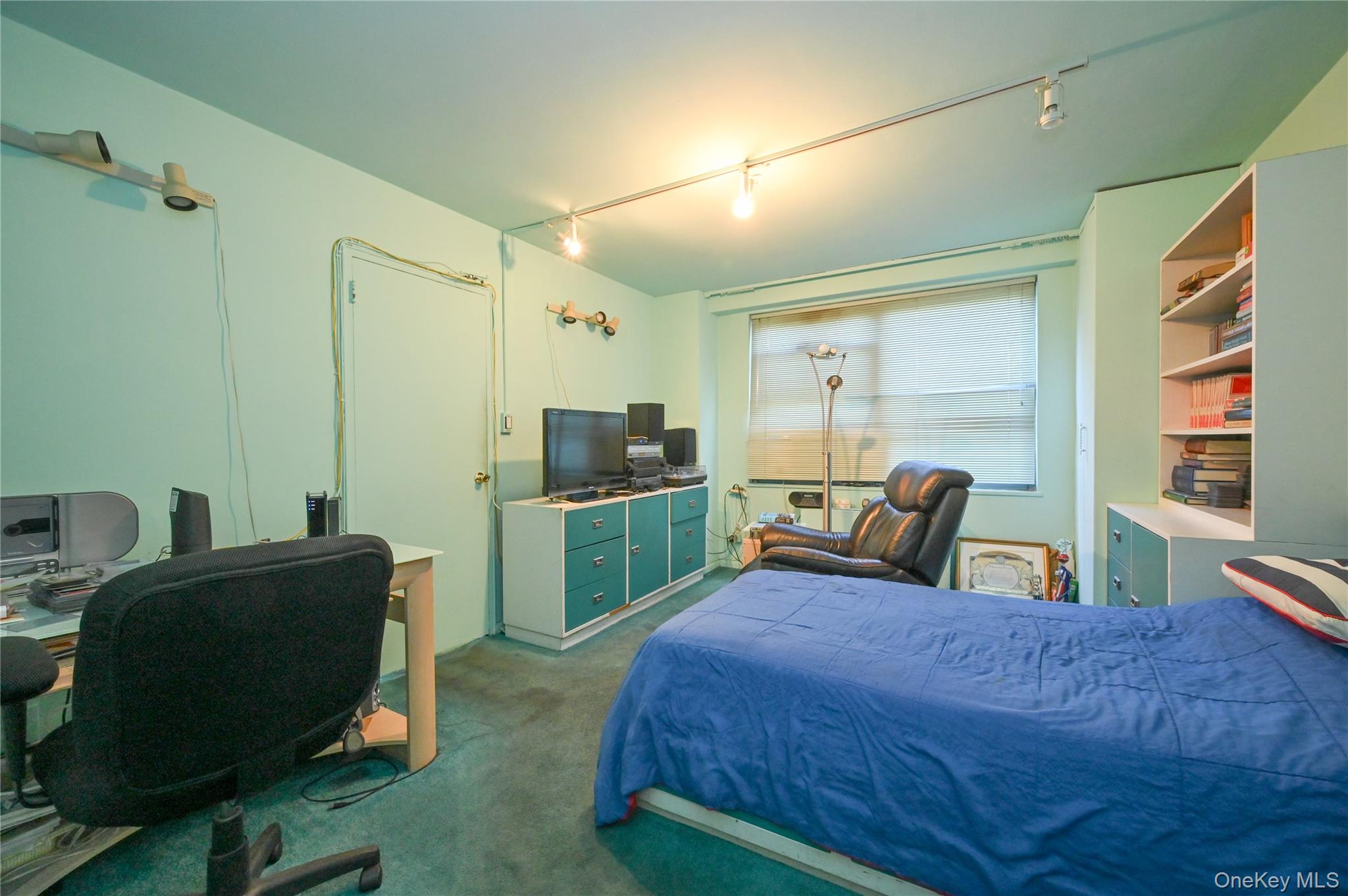 61-20 Grand Central Parkway, Unit C 306 photo 18