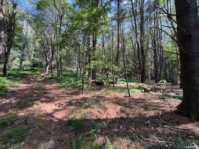 Lot 47.3 High Road – For Sale photo 6