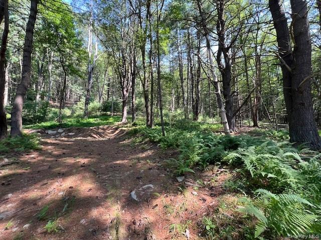 Lot 47.3 High Road – For Sale photo 3