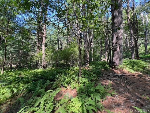 Lot 47.3 High Road – For Sale photo 5