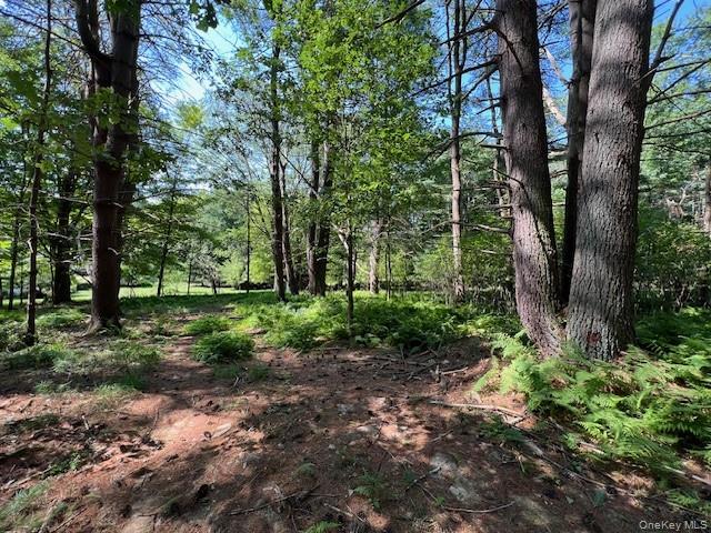 Lot 47.3 High Road – For Sale