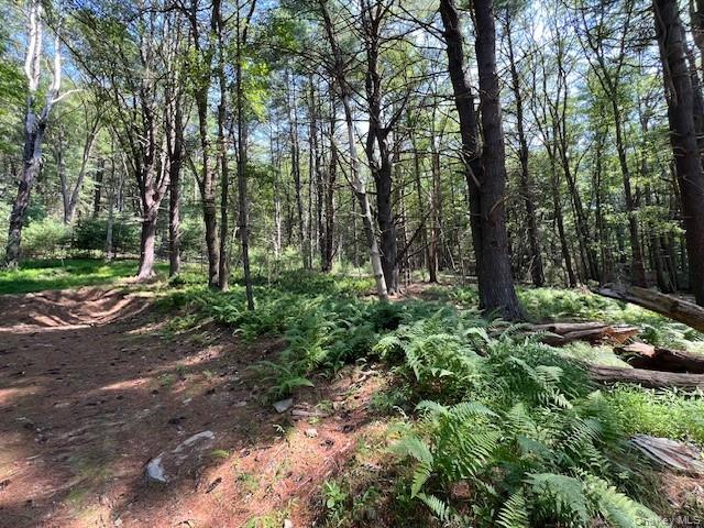 Lot 47.3 High Road – For Sale photo 4