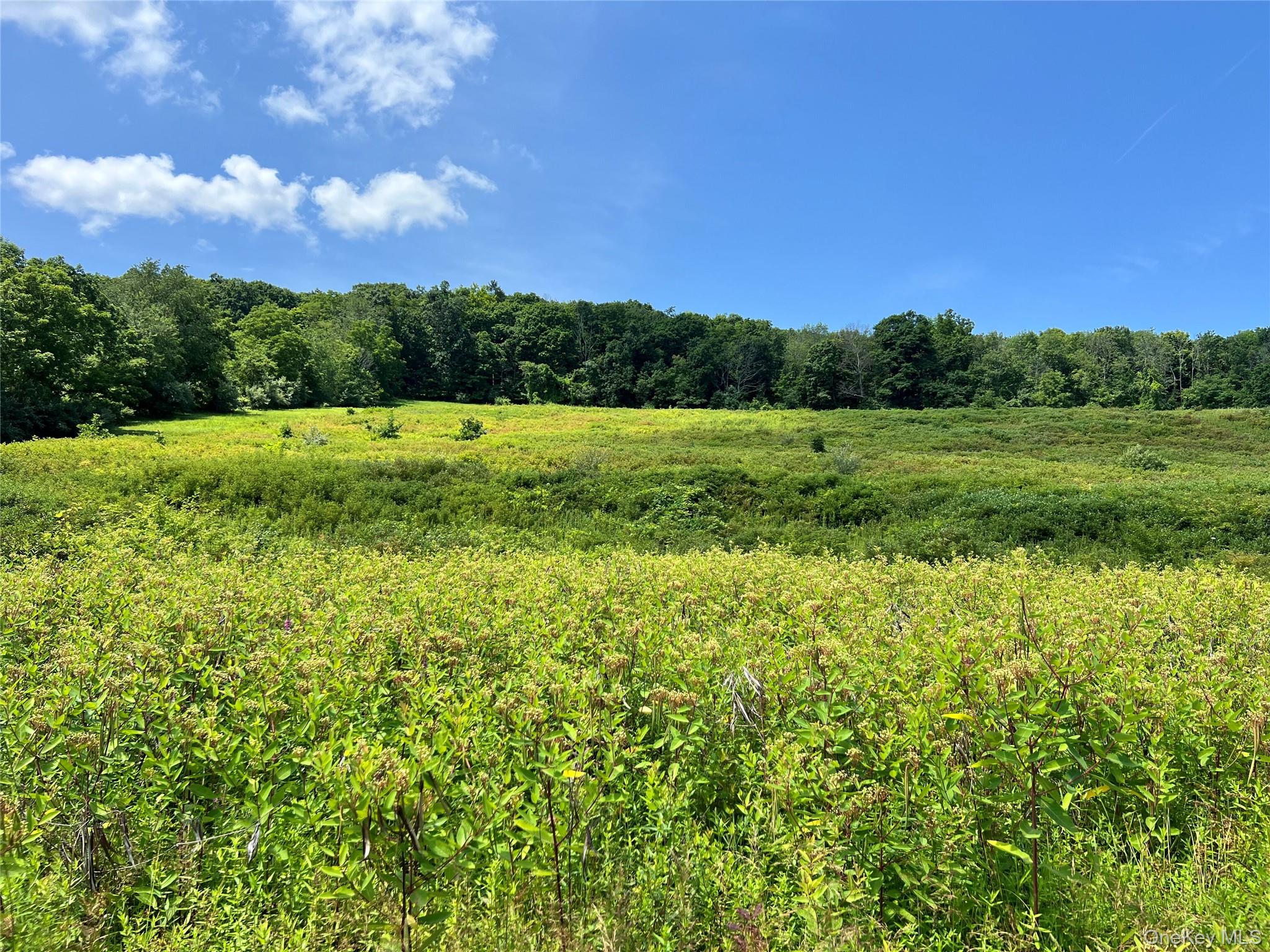 Lot #4 Mountain Road – For Sale photo 4