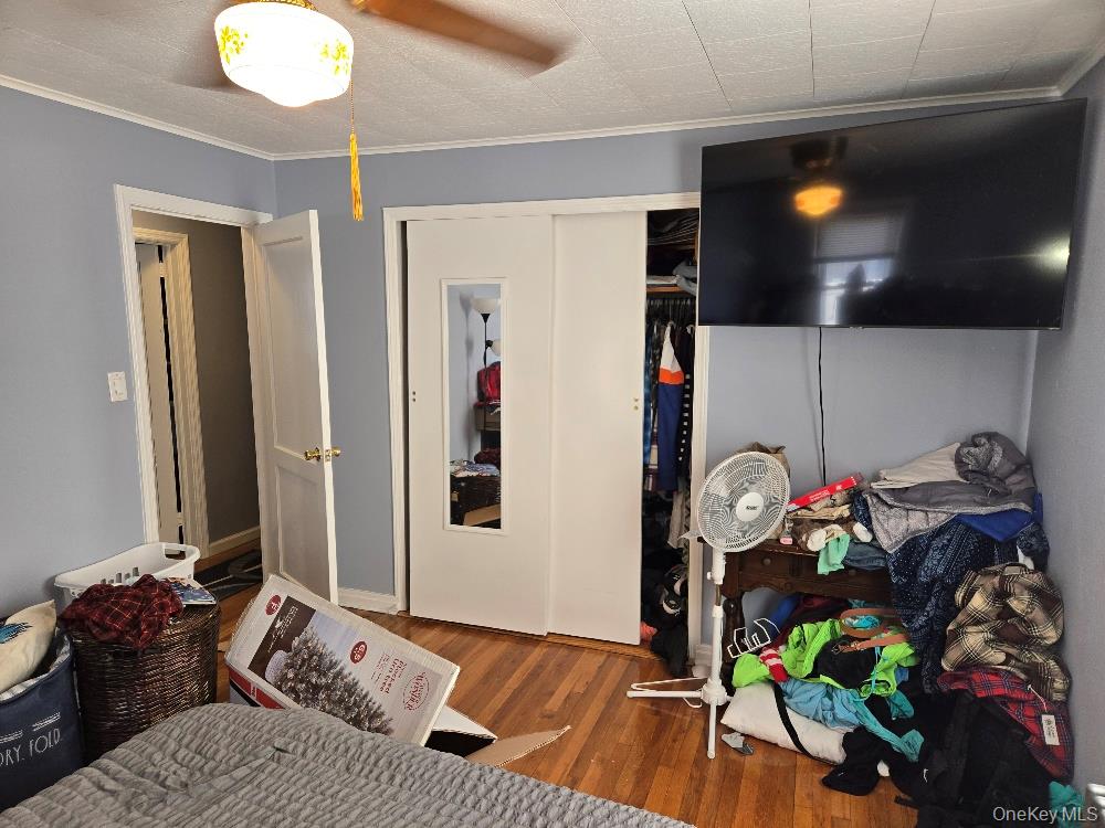 12 Carson Street – For Sale photo 13