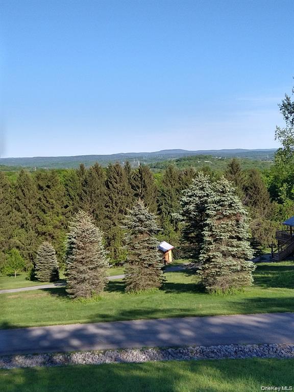 Harley Tucker Hill – For Sale photo 6