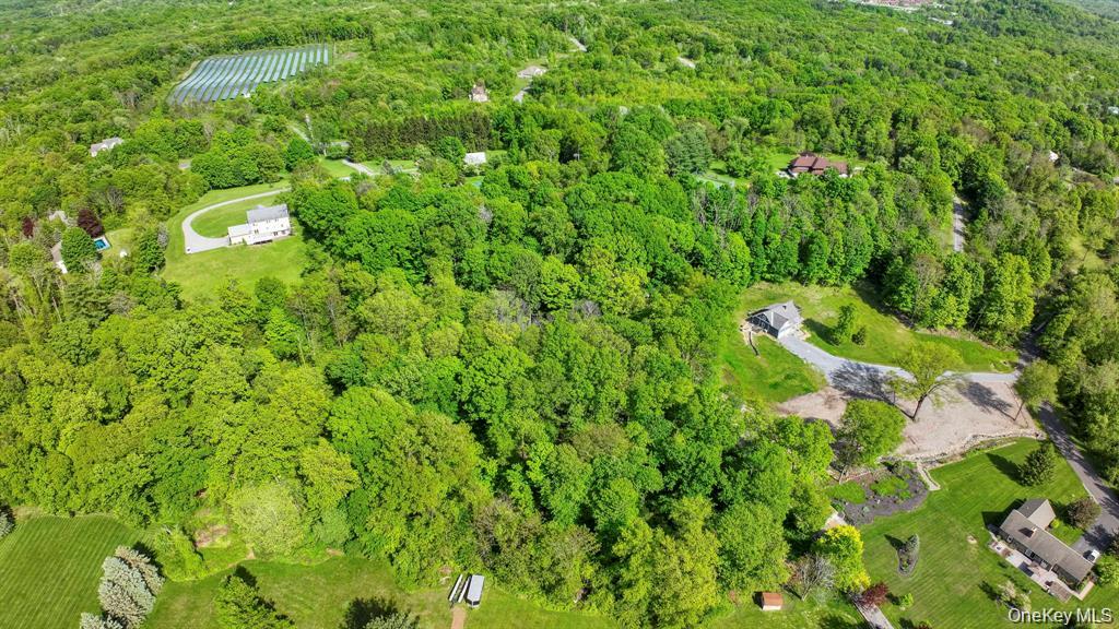 Harley Tucker Hill – For Sale photo 3