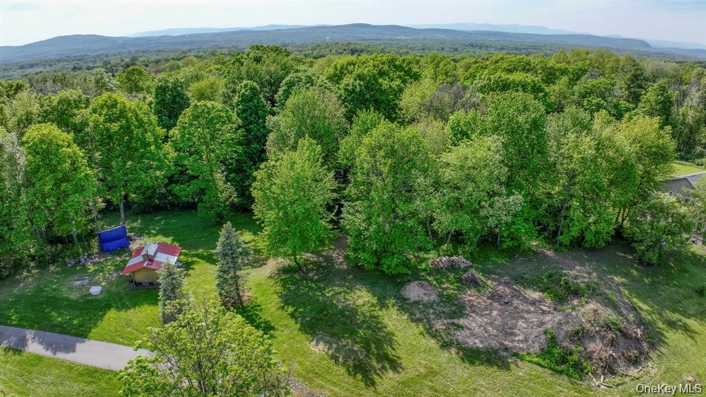 Harley Tucker Hill – For Sale