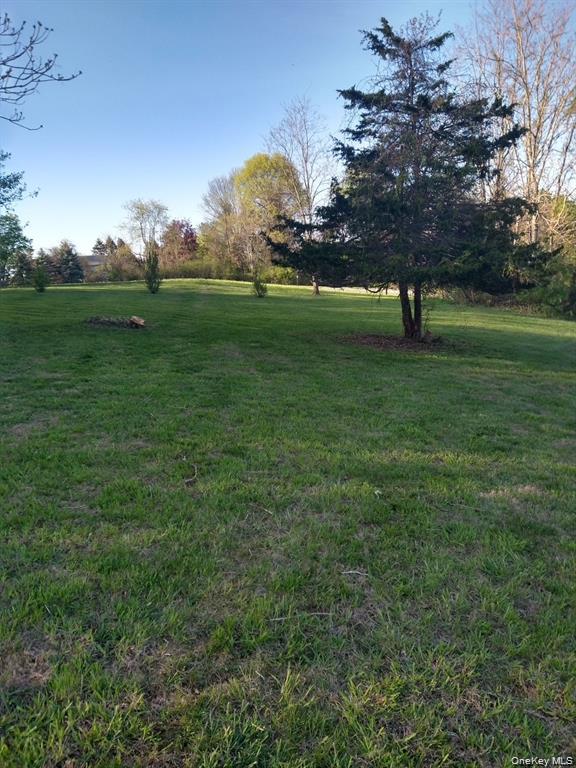 Harley Tucker Hill – For Sale photo 9