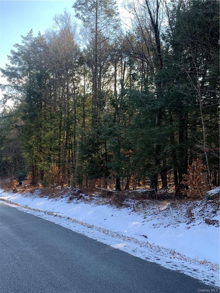 Friedman Road – For Sale photo 5