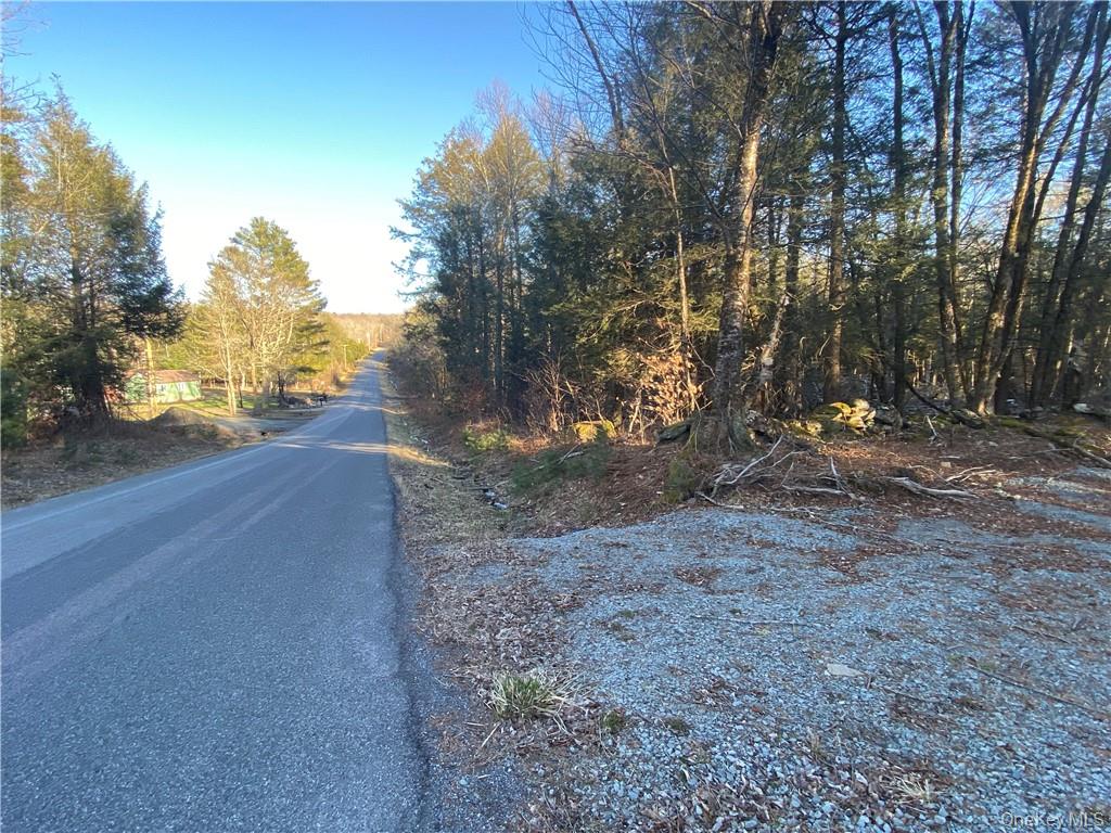 Friedman Road – For Sale photo 3