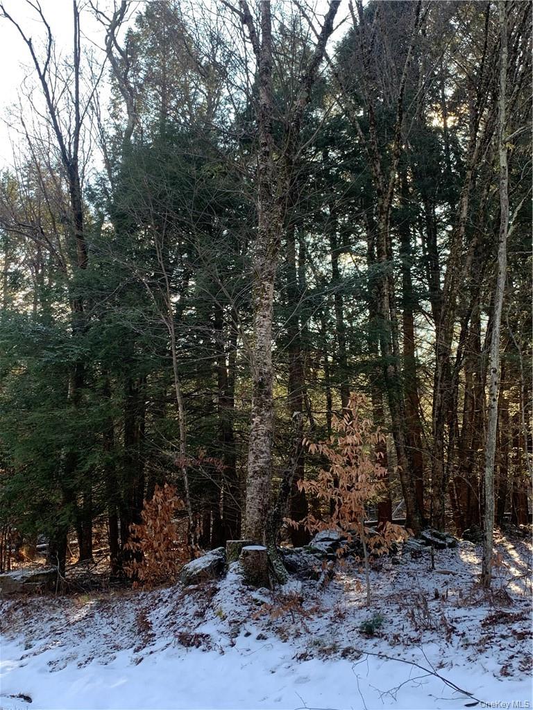 Friedman Road – For Sale photo 4
