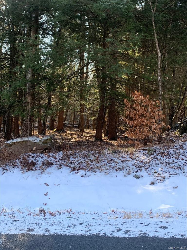 Friedman Road – For Sale photo 6