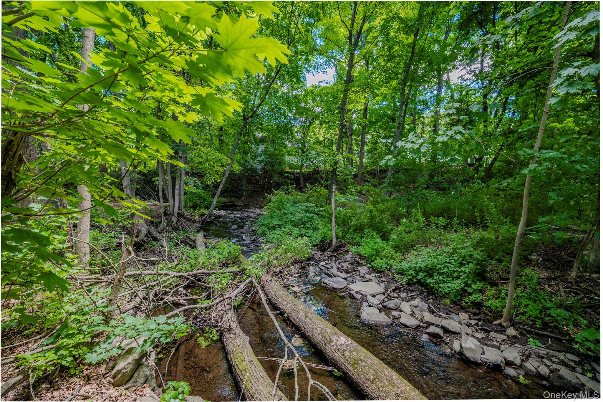 56-58 Vineyard Avenue – For Sale photo 25