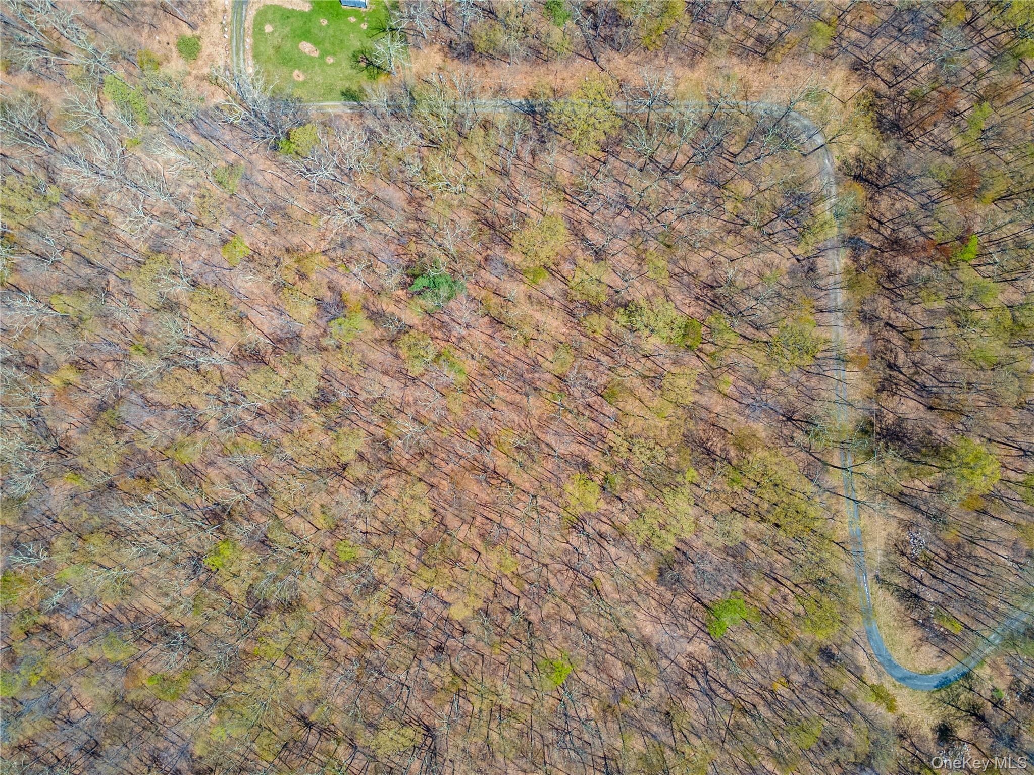 TBD Forest Glen Road – For Sale photo 4