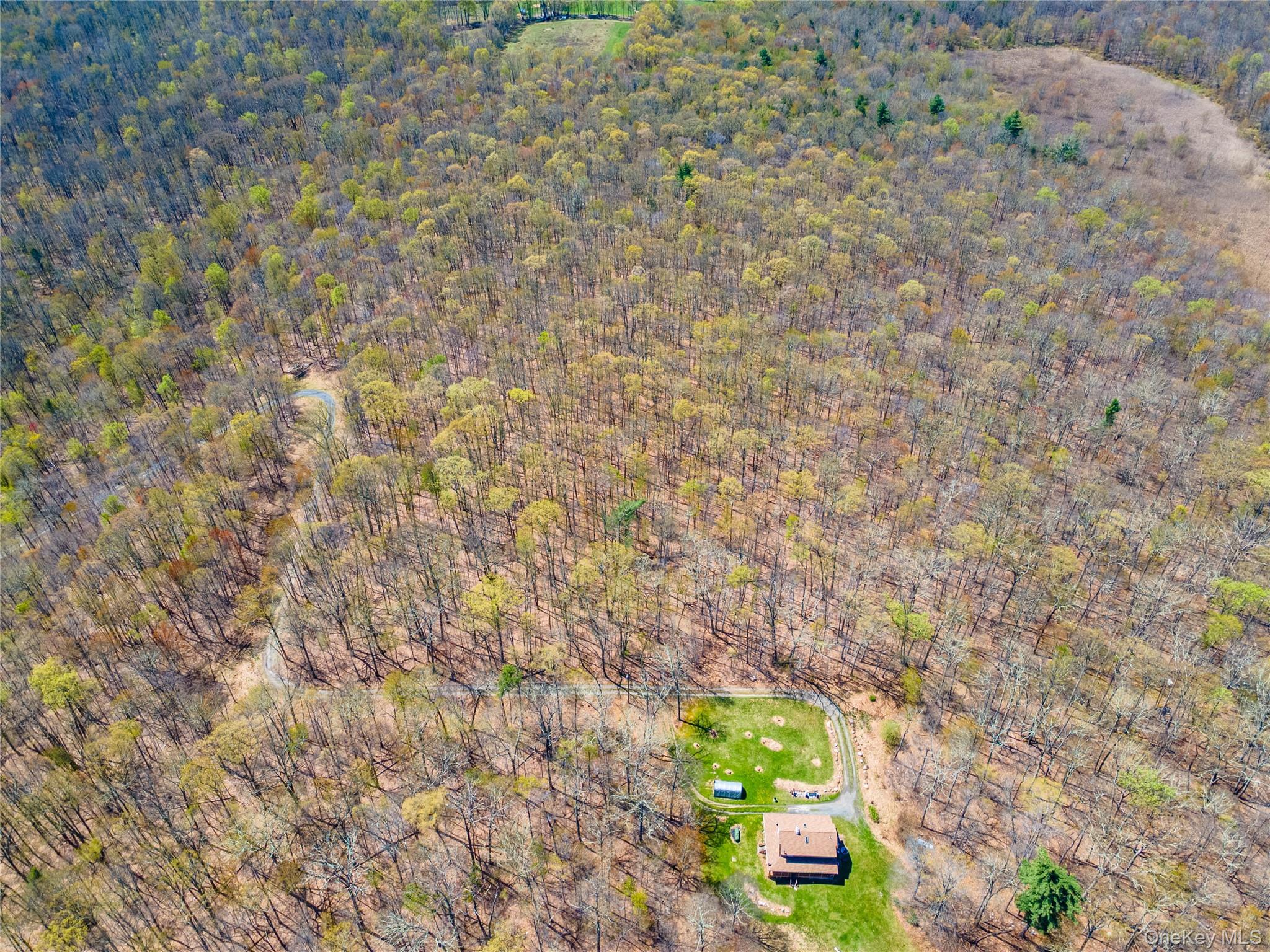 TBD Forest Glen Road – For Sale photo 6