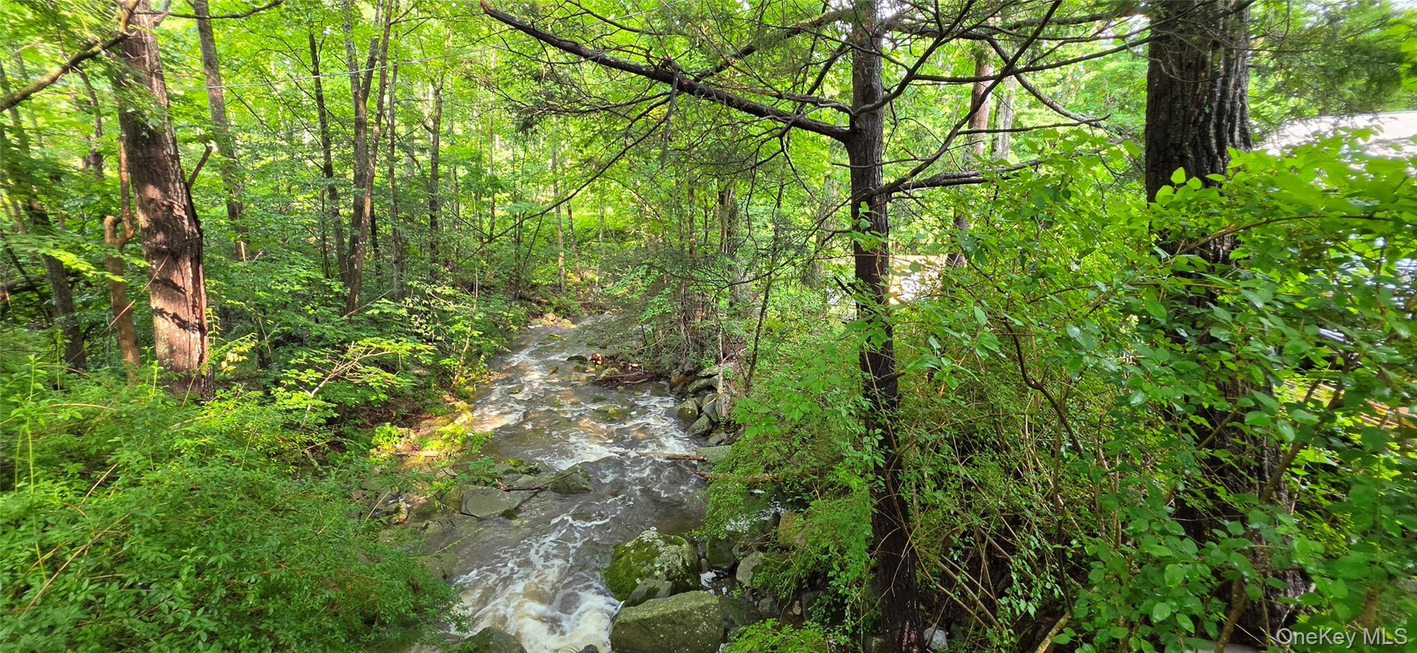 623 Wurtsboro Mtn Road – For Sale photo 16