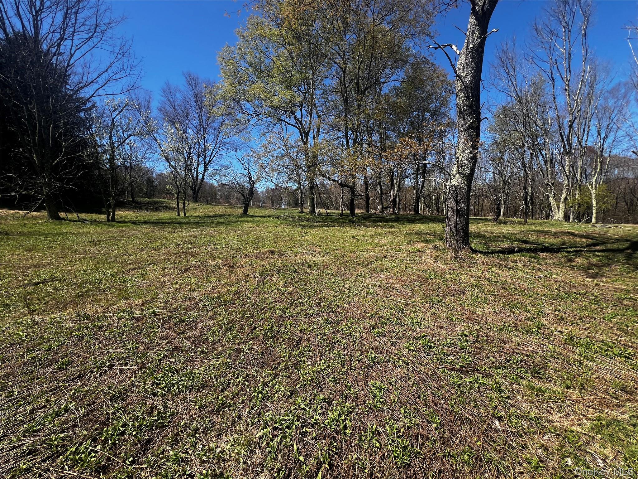 93 Stewart Road – For Sale photo 2