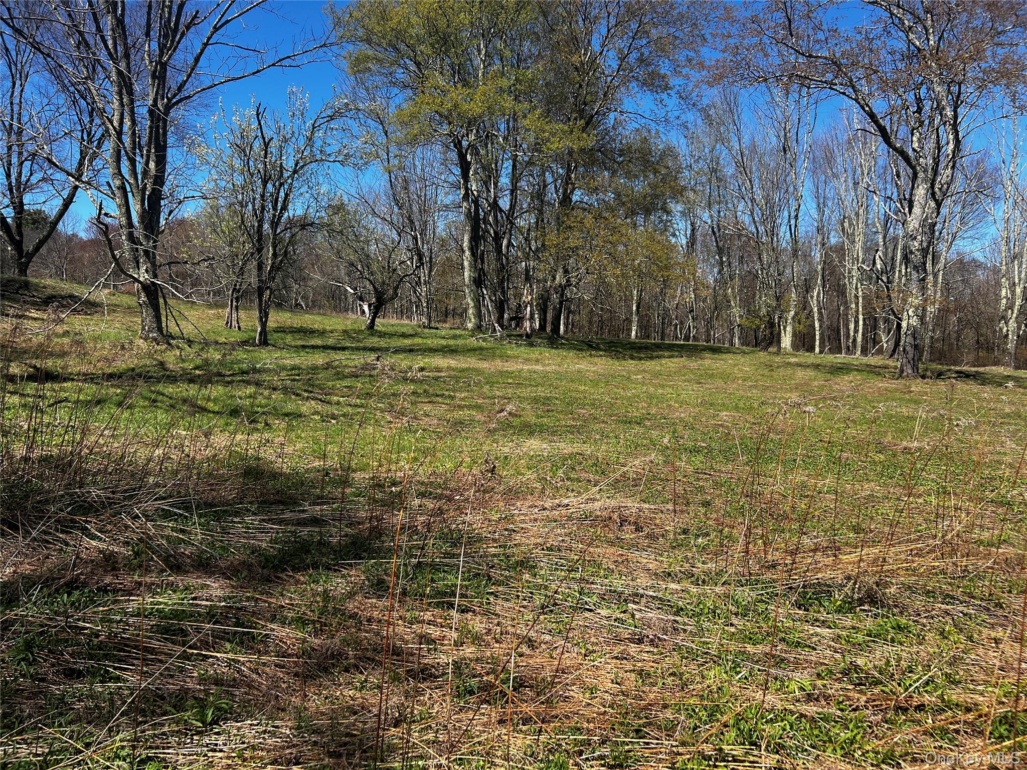 93 Stewart Road – For Sale photo 5