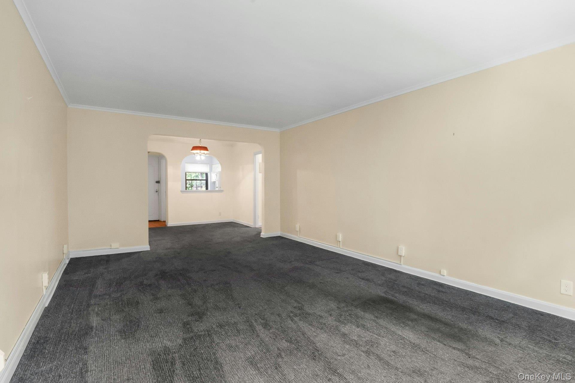 20 Alden Place, Unit 1 photo 10