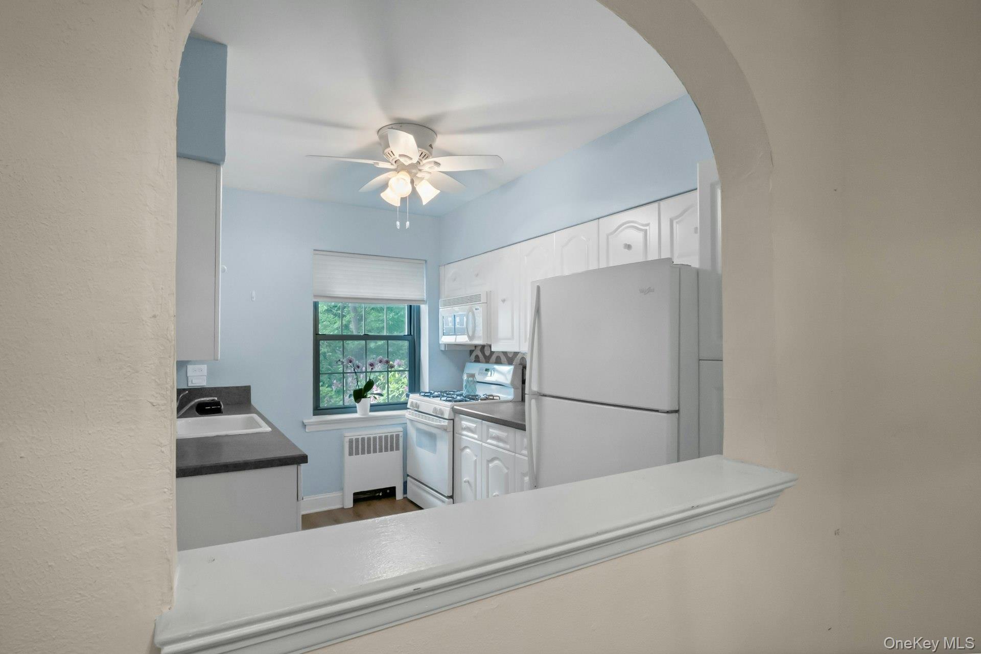20 Alden Place, Unit 1 photo 4