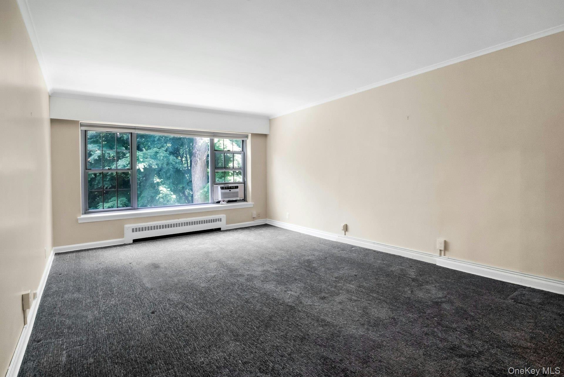 20 Alden Place, Unit 1 photo 9