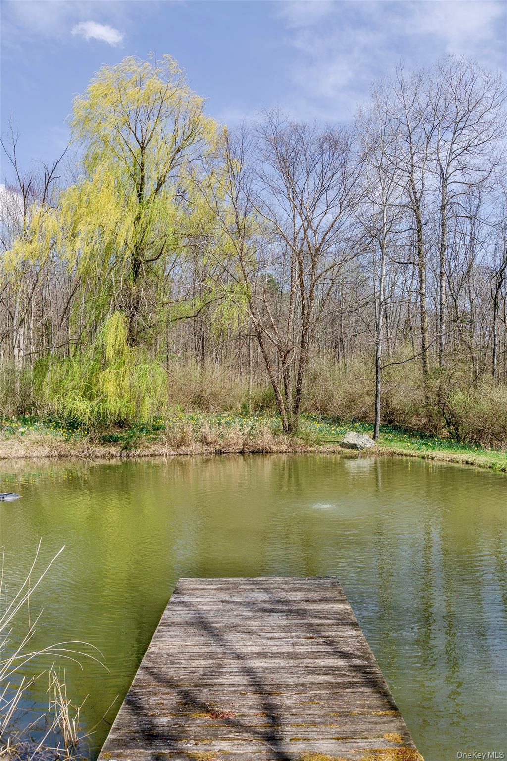 2339 State Route 82 – For Sale photo 36