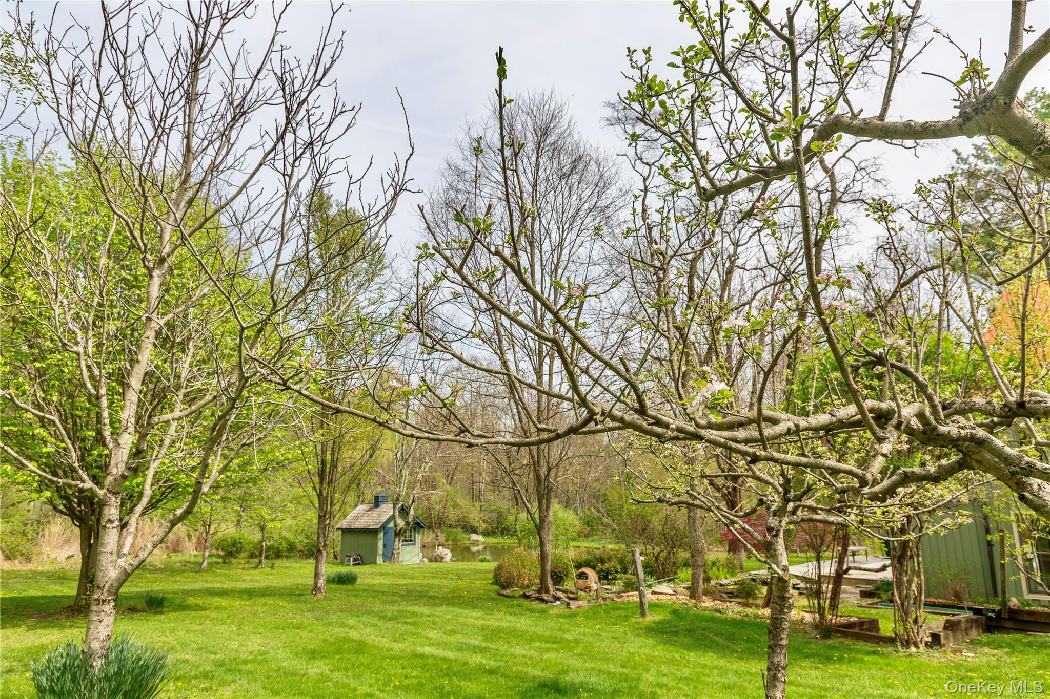 2339 State Route 82 – For Sale photo 45