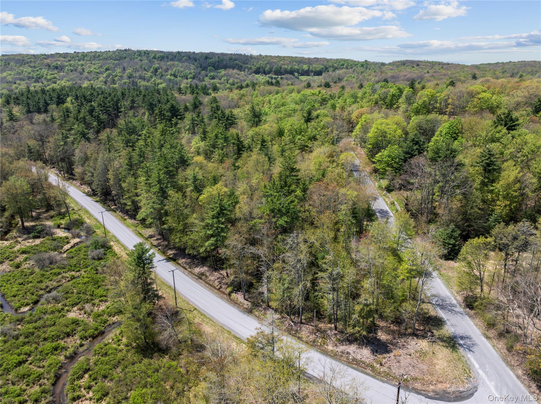 Church rd & Taylor Road – For Sale photo 3