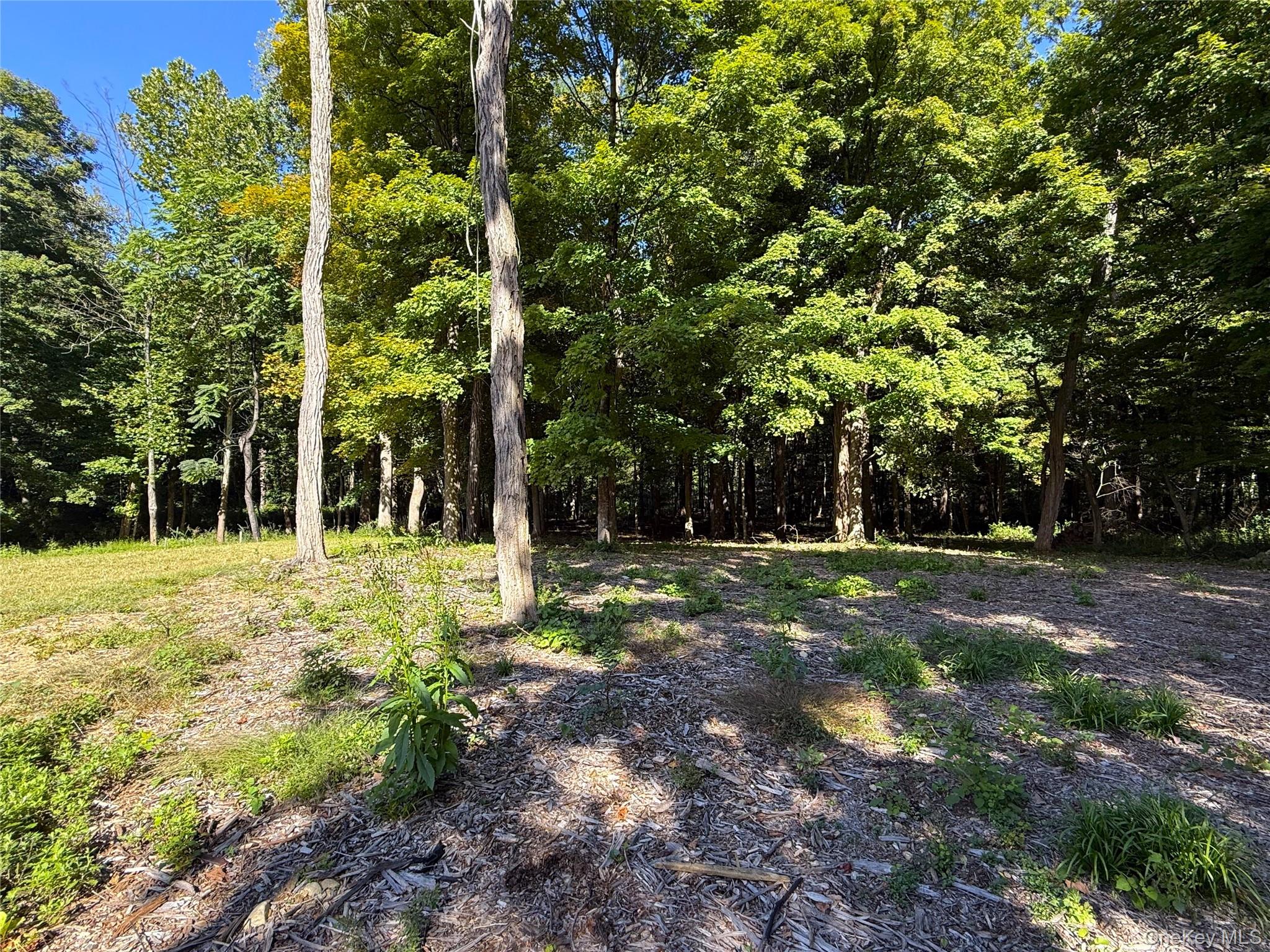 79 Cortlandt Avenue – For Sale photo 25