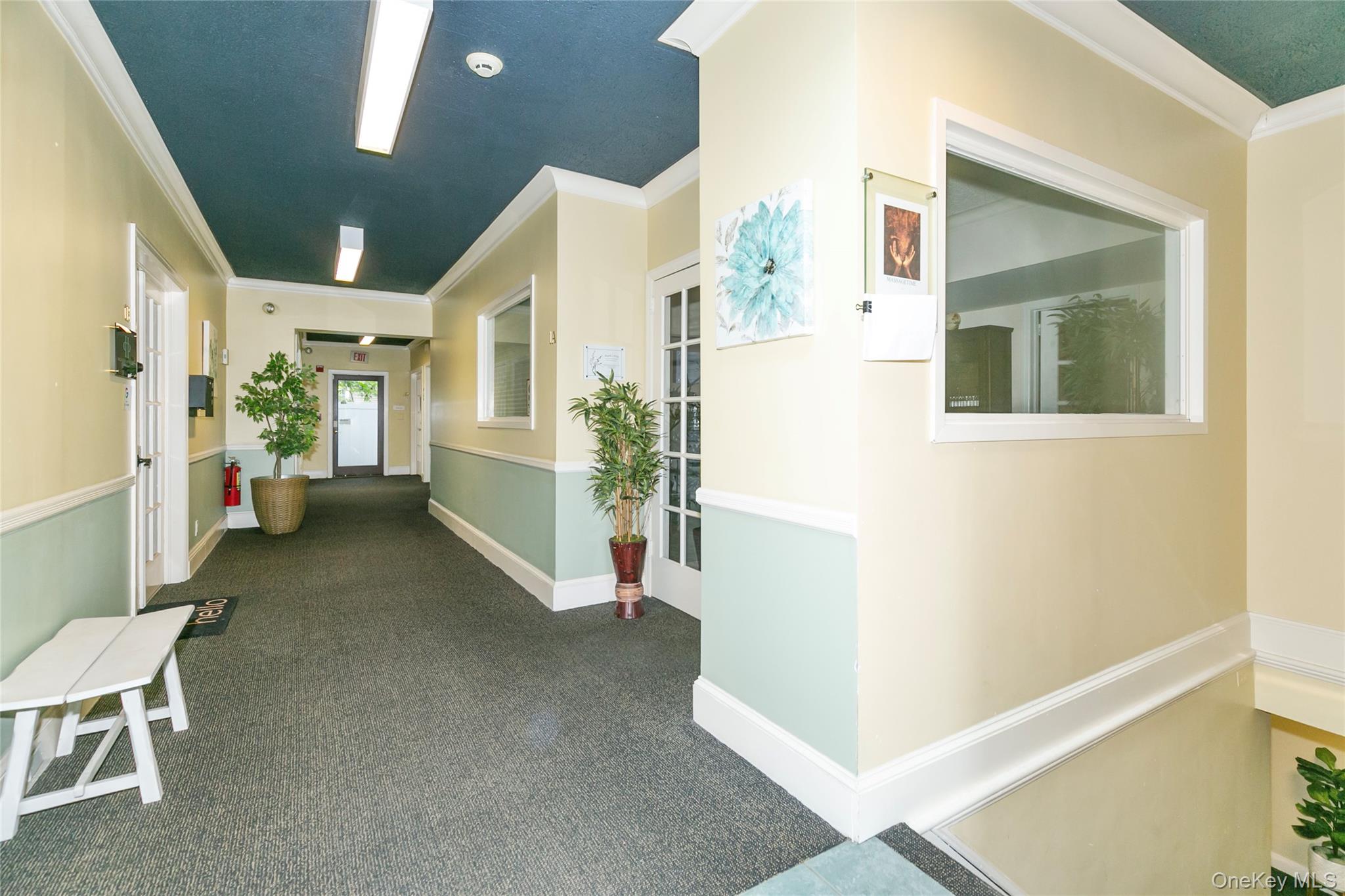 293 Castle Avenue – For Sale photo 4