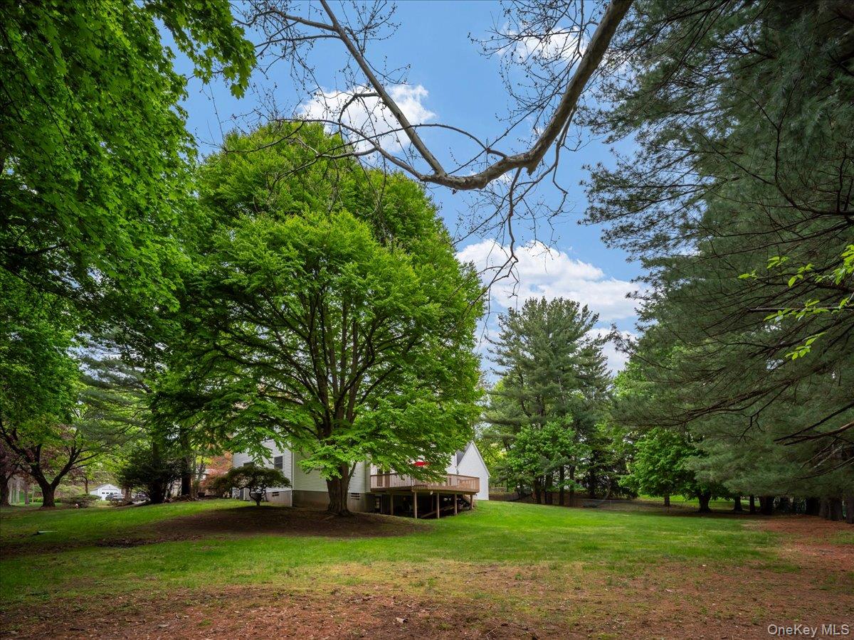 10 Rockingham Road – For Sale photo 45