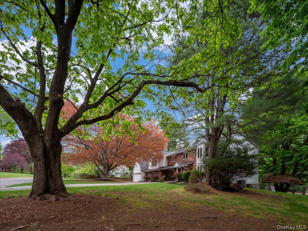 10 Rockingham Road – For Sale photo 44