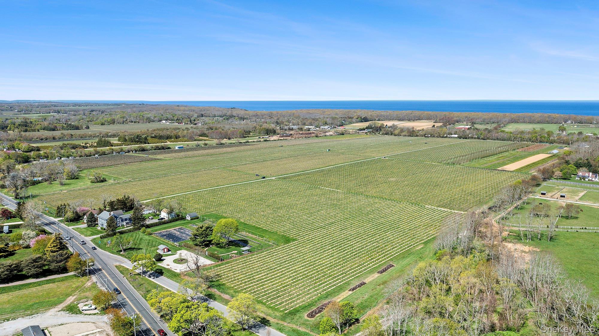46975 Main Road – For Sale photo 33