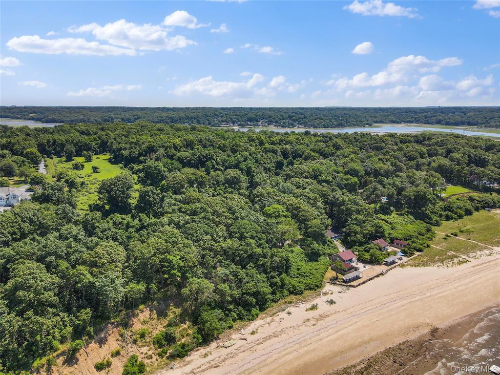 Boney Lane – For Sale photo 9