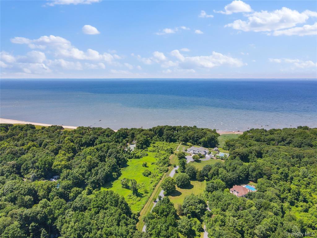 Boney Lane – For Sale photo 3