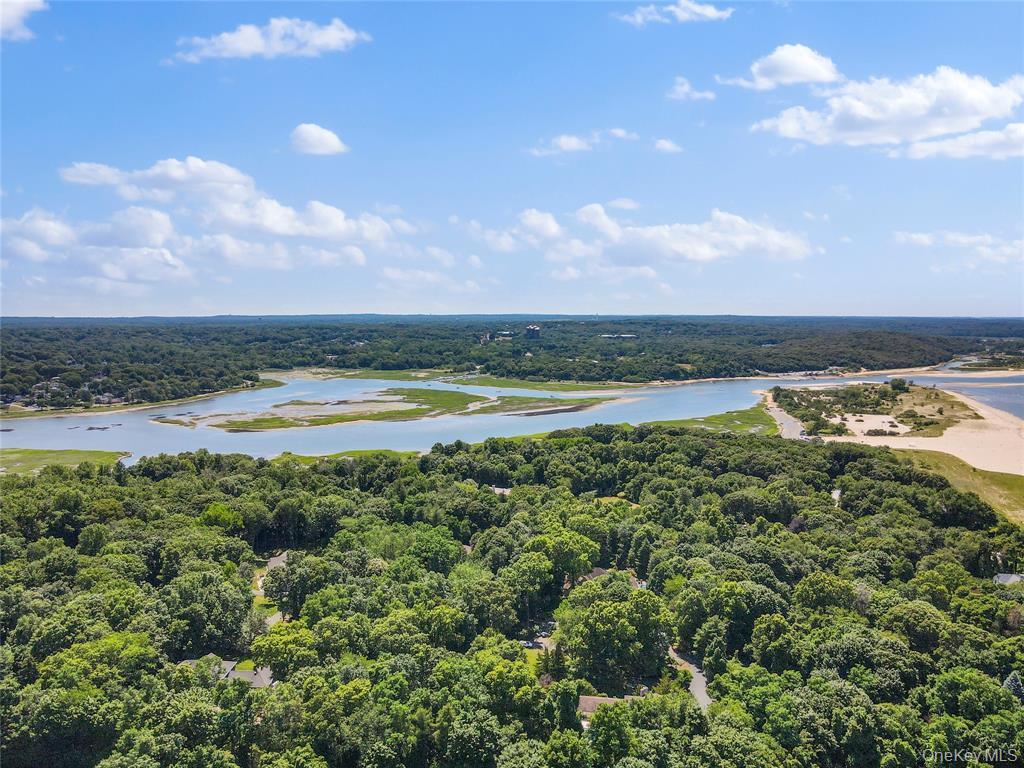 Boney Lane – For Sale photo 7