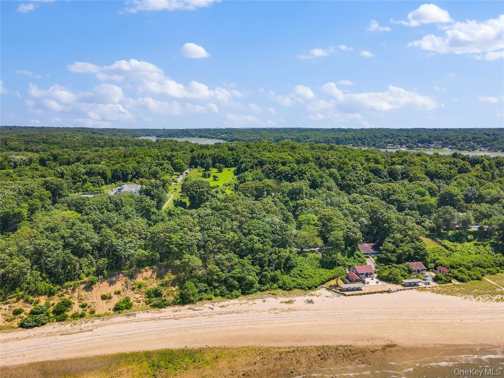 Boney Lane – For Sale photo 10