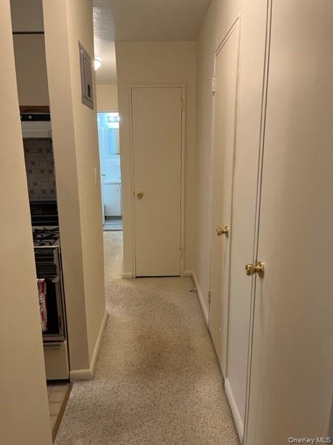 4727 Little Neck Parkway, Unit 4G photo 7