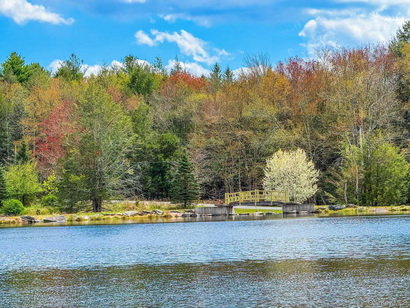 235 Cantrell Road – For Sale photo 29