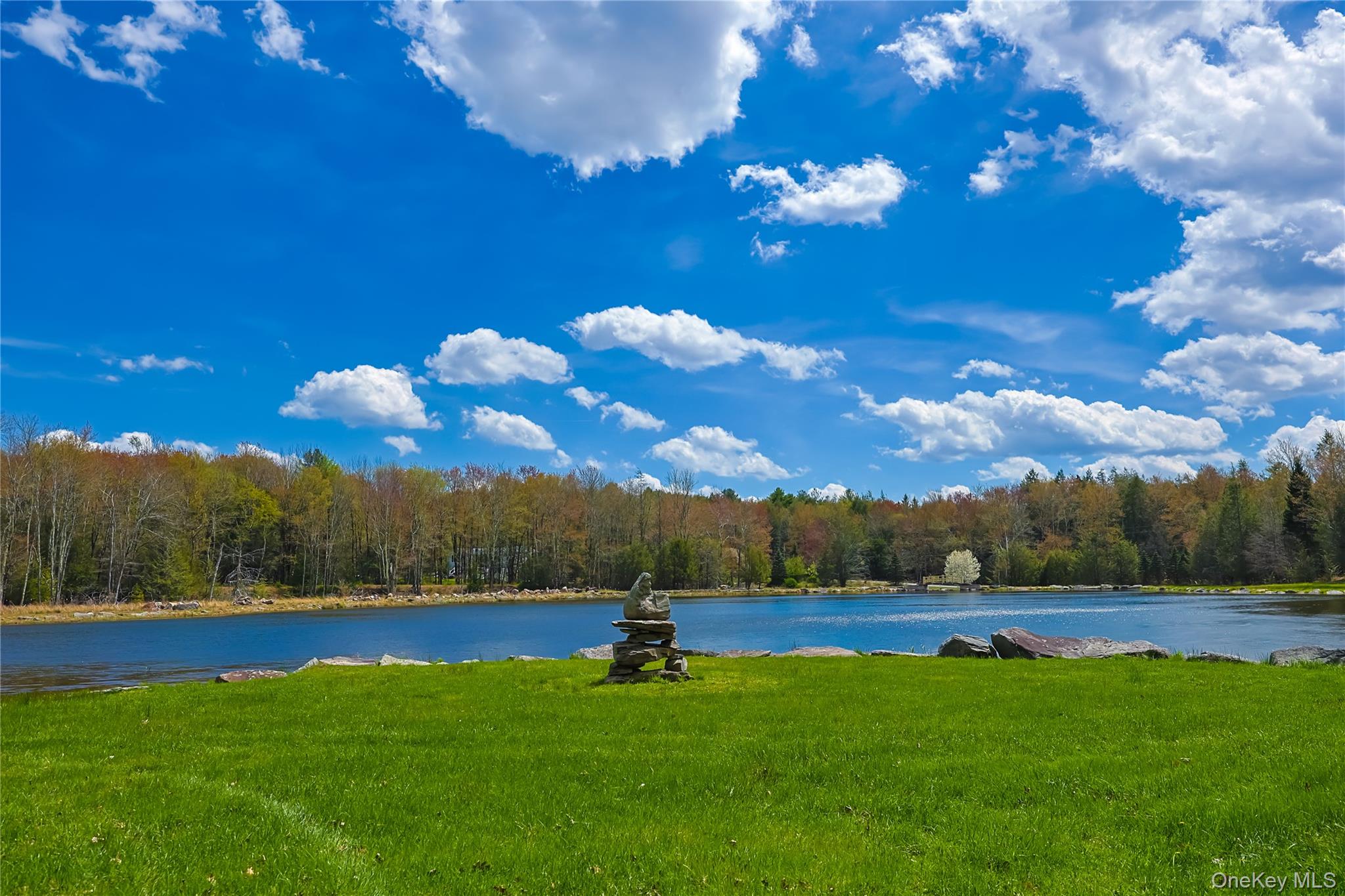 235 Cantrell Road – For Sale photo 4