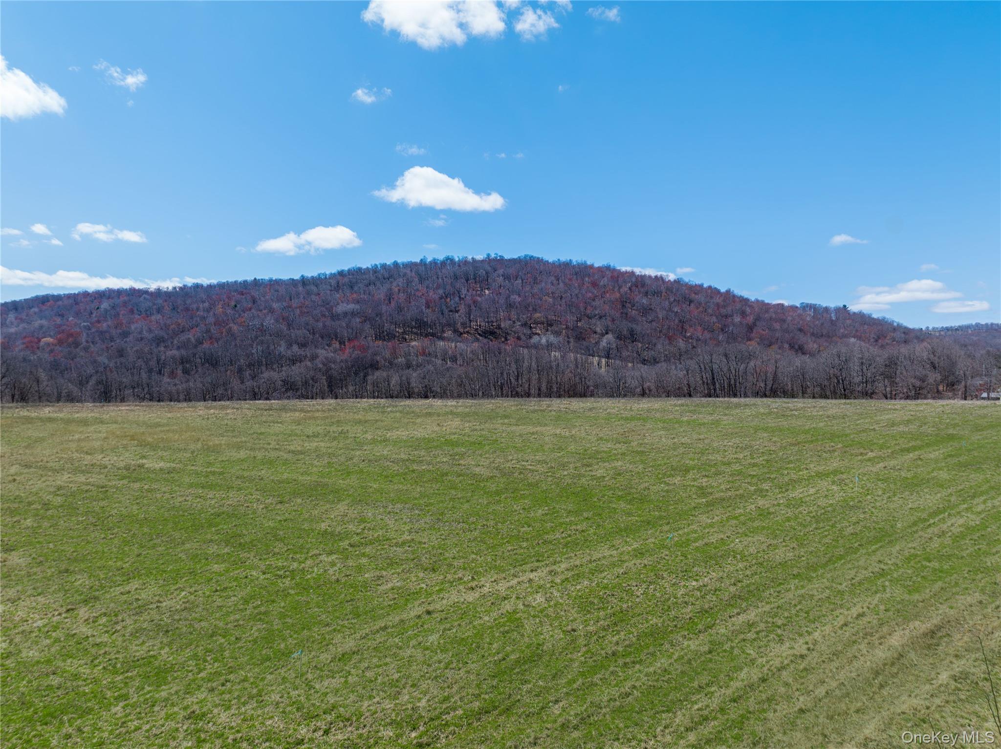 McGhee Hill Rd. McGhee Hill Road – For Sale photo 3