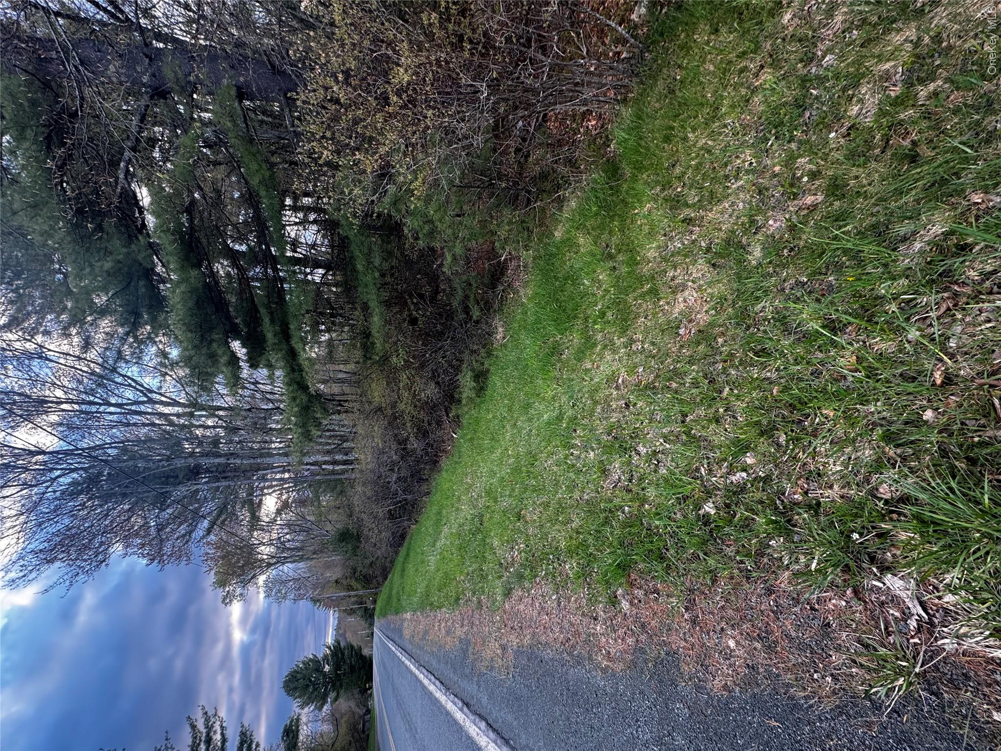 TBD 000 Ulster Heights Road – For Sale photo 3