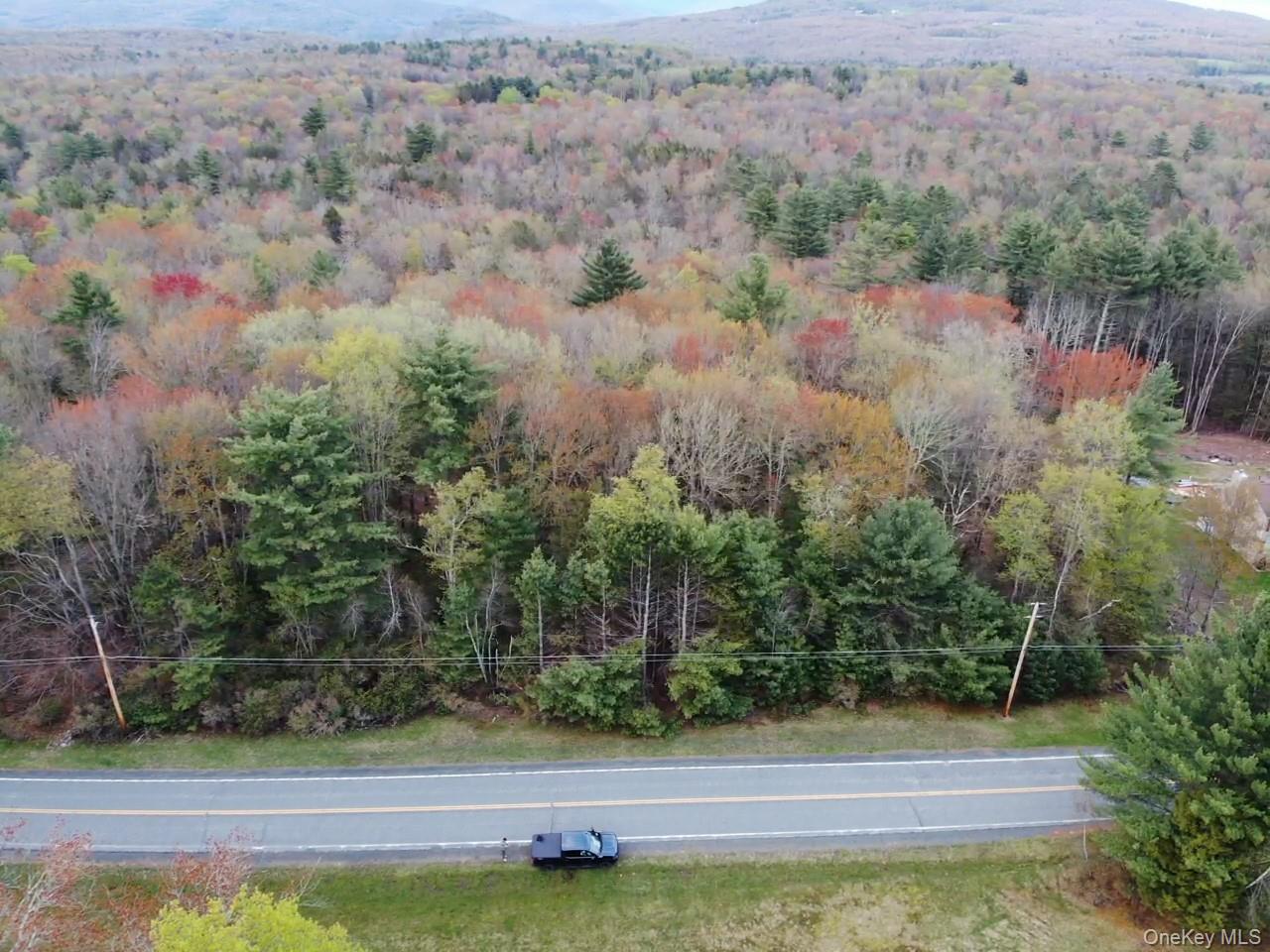 TBD 000 Ulster Heights Road – For Sale photo 6
