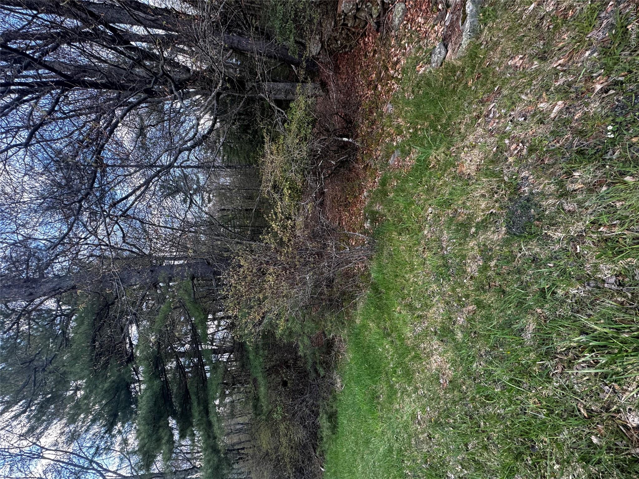 TBD 000 Ulster Heights Road – For Sale photo 4