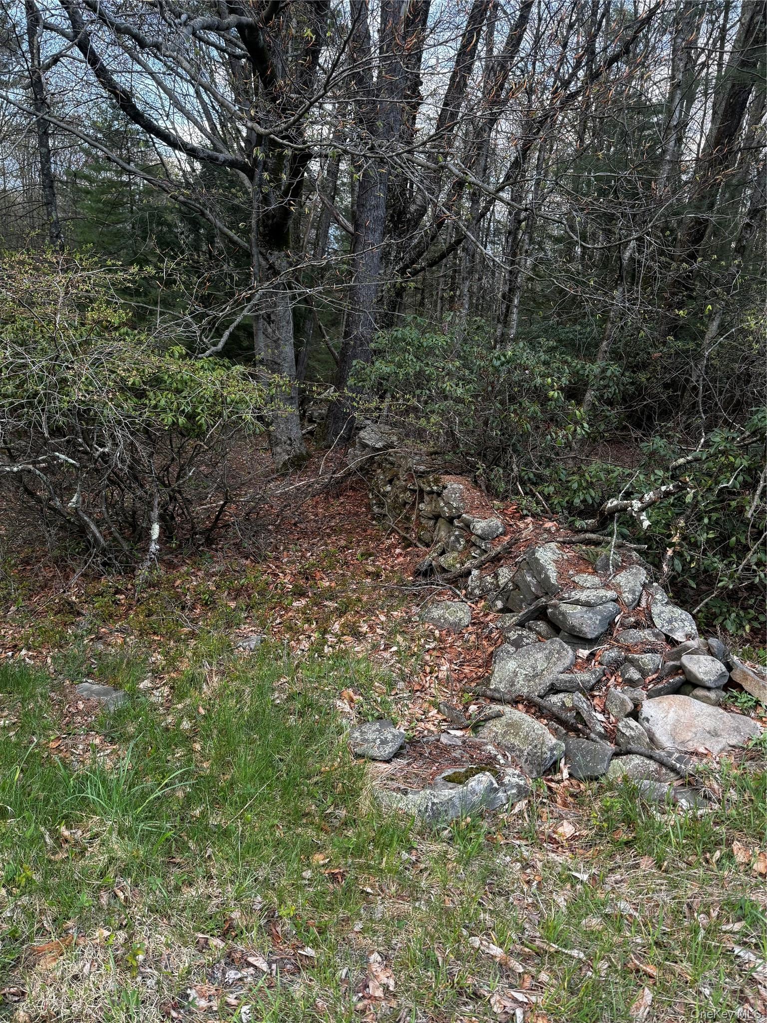 TBD 000 Ulster Heights Road – For Sale photo 2